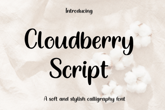 Cloudberry Script Font: A Designer’s Review