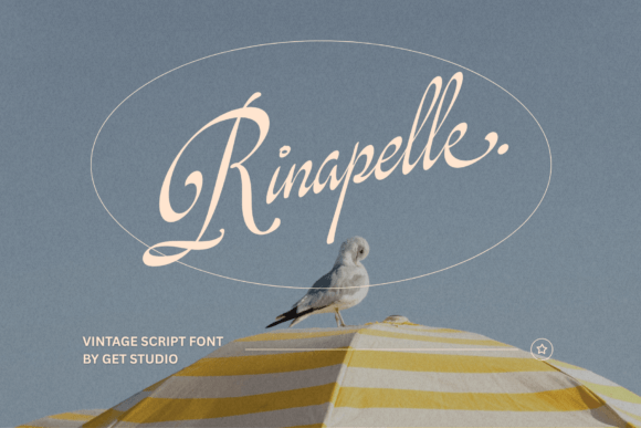 Rinapelle Script: A Vintage Typeface for Modern Campaigns